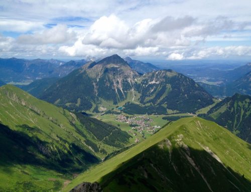 Das Verfassungsgericht macht den Weg frei